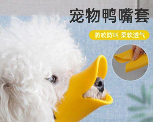 出生的小狗喂什么好处？新生小狗饮食安排的好处是什么？