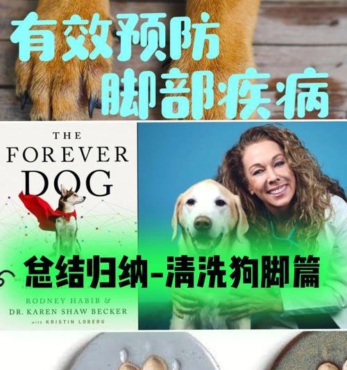 狗狗脚掌炎怎么治？有效治疗方法有哪些？