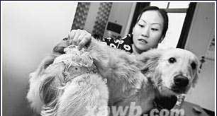 狗狗绝育后为何还会发情？如何处理这种情况？