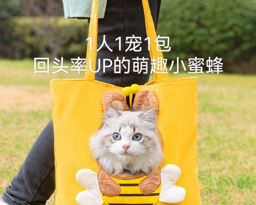 狗狗可以吃什么肉？哪些肉类对狗狗健康有益？