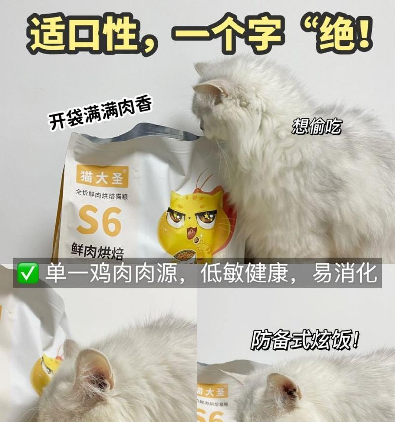 猫换粮导致拉软便不吃不喝怎么办？