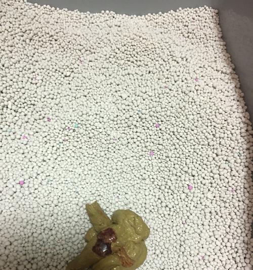 换粮后猫大便不成形很软怎么回事儿？