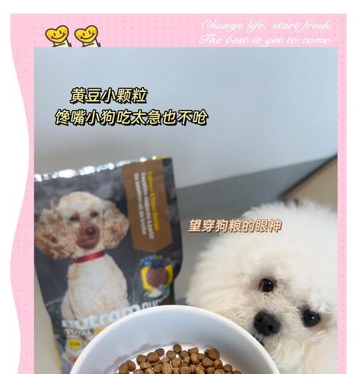 纯种狗狗狗粮选择标准是什么？