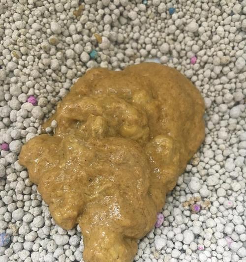 猫换粮大便不成形怎么回事吃什么药好