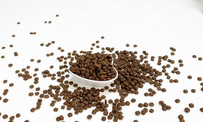 猫粮颜色变化对猫咪健康有何影响？