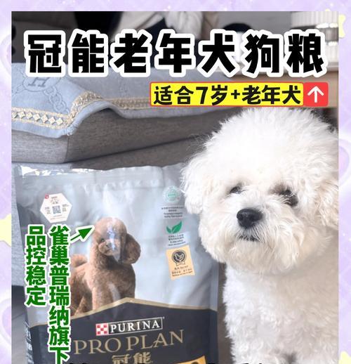 纯种狗狗的饮食建议和狗粮选择？