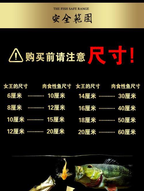 梦见清道夫咬金龙鱼预示什么？如何避免这种情况？