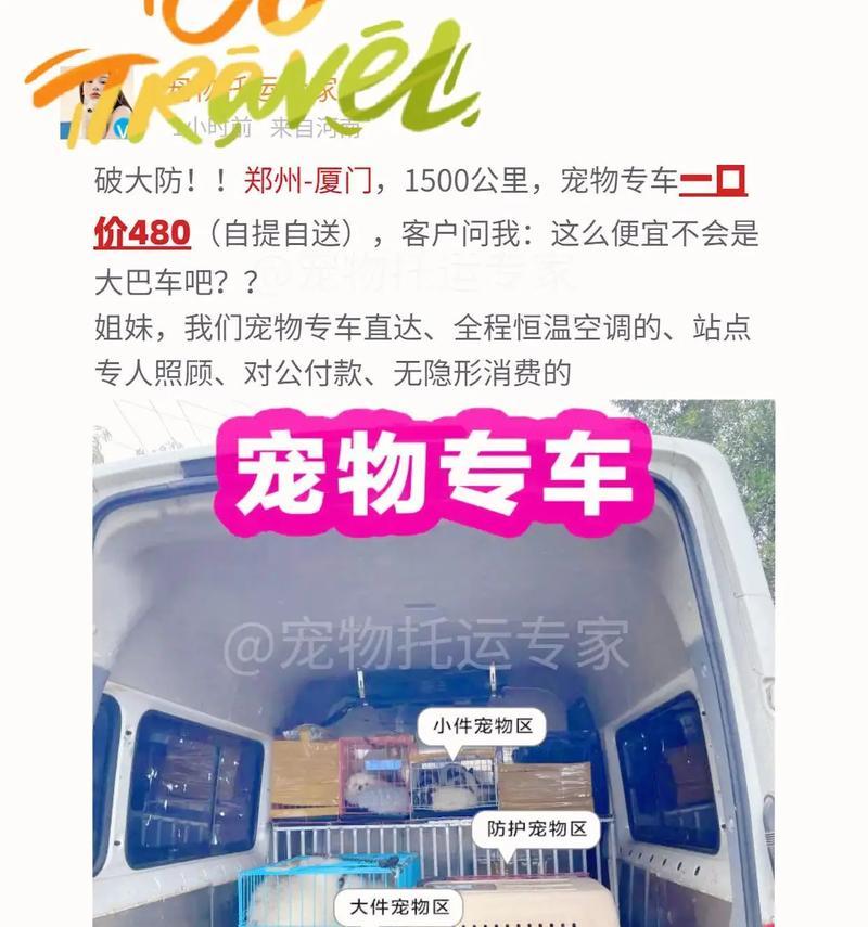 宠物托运后呕吐怎么办？推荐使用哪种药物？