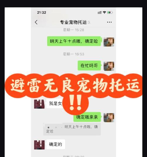 宠物托运后吐水吃什么药？如何预防和处理？