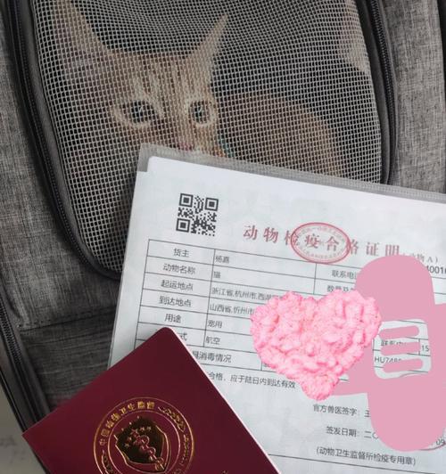 宠物托运后吐水吃什么药？如何预防和处理？