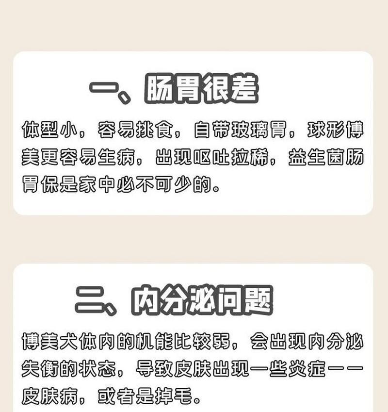 博美犬腹泻呕吐应如何处理？