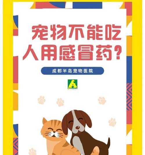 感冒会传染给宠物吗？小孩接触宠物怎么办？