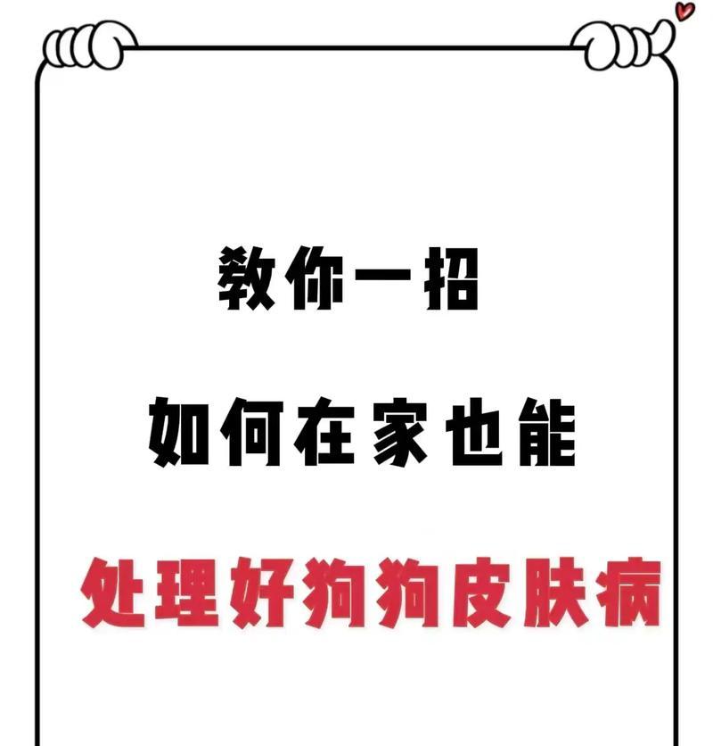 养宠物狗有病菌嘛怎么办小妙招？如何保持家中卫生？