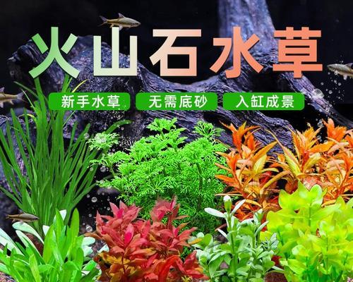 鱼缸水草频繁腐烂用什么药？