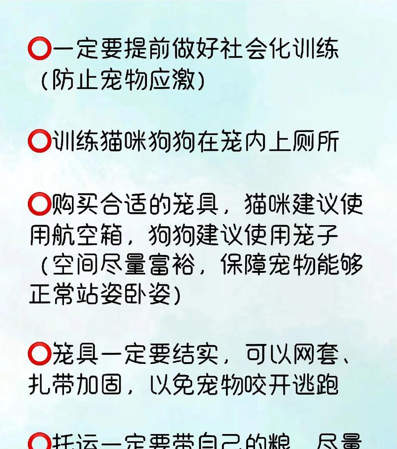 宠物托运后呕吐？如何缓解宠物不适？