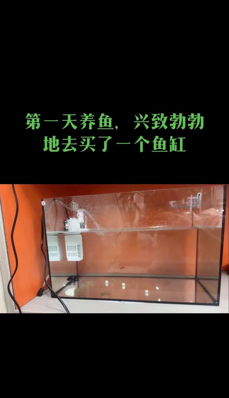 鱼缸水出现腥味怎么办？使用哪种药物可以改善？