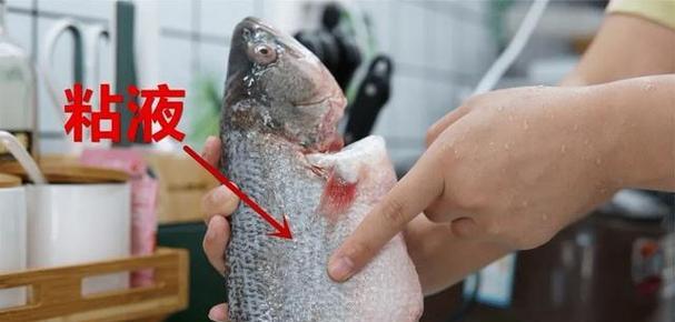鱼出现白色粘液应吃什么药？最佳处理方法是什么？