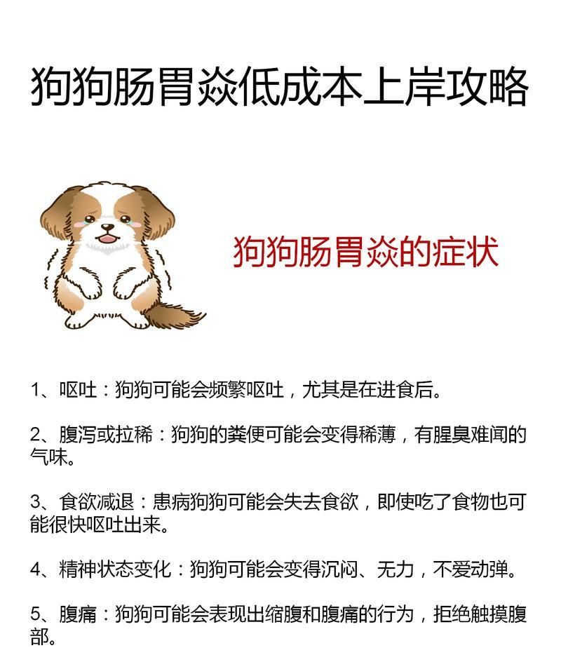 博美犬吐白沫拉稀怎么办？如何快速止吐止泻？
