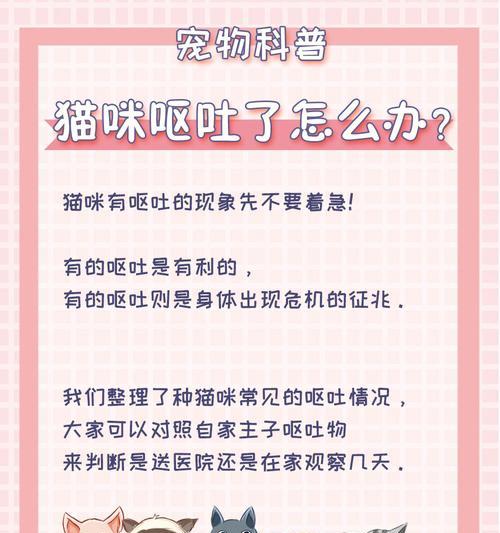 宠物托运呕吐怎么办？如何减轻宠物不适？