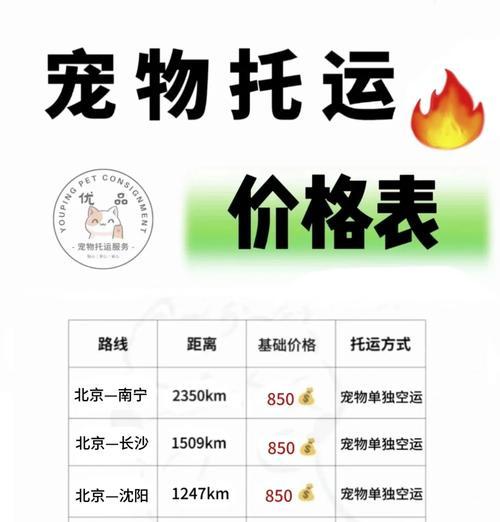 宠物托运后吐水怎么办？如何预防和处理？