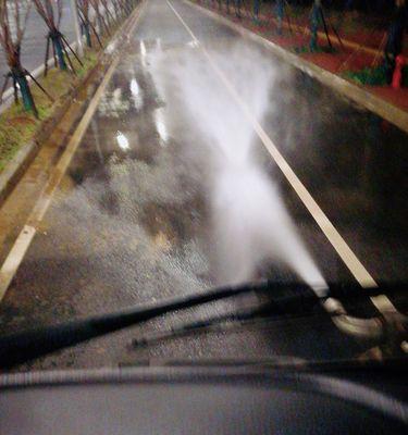 清道夫未换水导致问题如何解决？日常维护有什么要点？