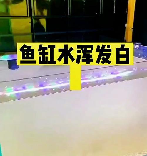 鱼缸水体发臭且有絮状物咋办？哪种药物可以有效处理？