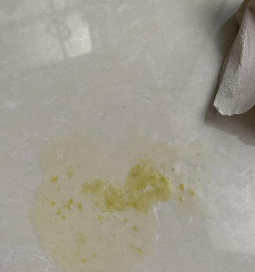 宠物吐黄水并拉肚子怎么办？怎么快速解决？