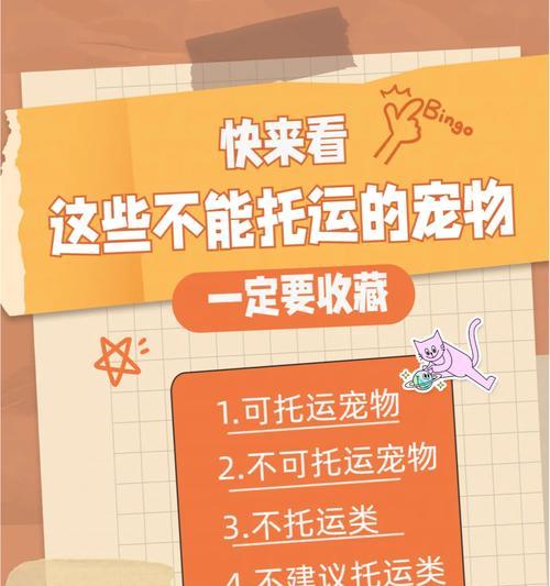 宠物托运后不幸死亡？怎么有效处理和预防？