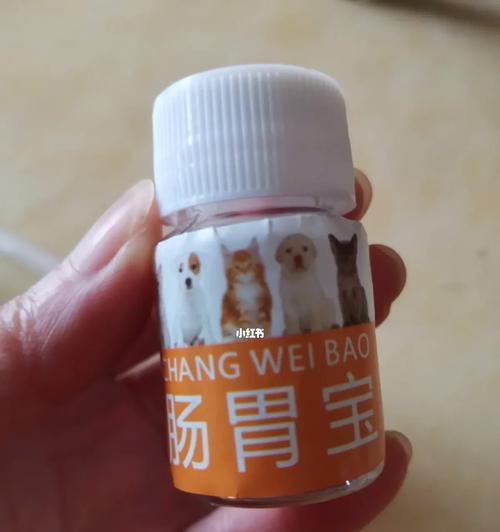 博美犬拉肚子并呕吐应吃什么药？怎么快速缓解症状？