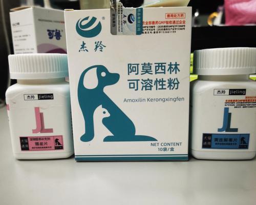 博美犬拉肚子并呕吐应吃什么药？怎么快速缓解症状？