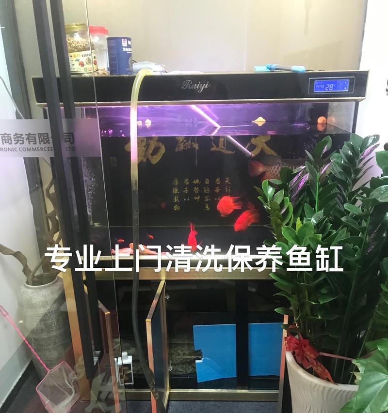 养了清道夫鱼缸变脏怎么办？怎么保持清洁？