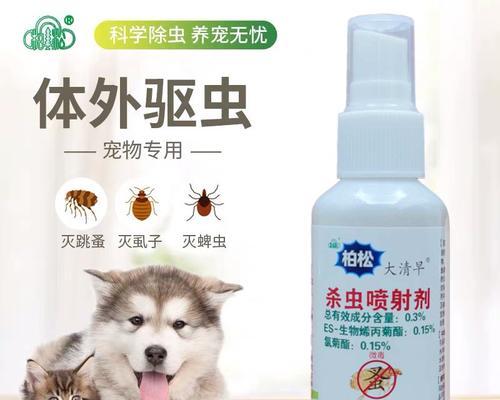 家里宠物传染虱子怎么办？有效防治措施有什么？
