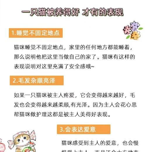 宠物猫互相攻击怎么办？怎么防止猫咬猫行为？