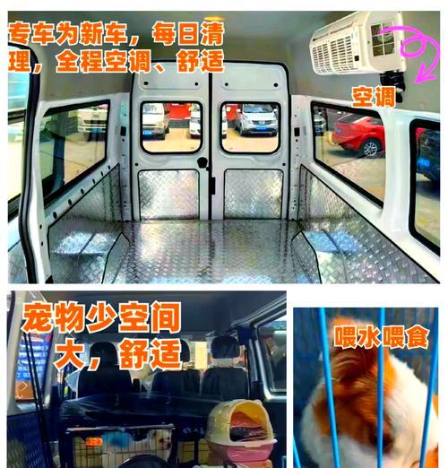 宠物托运死亡怎么办？怎么处理？