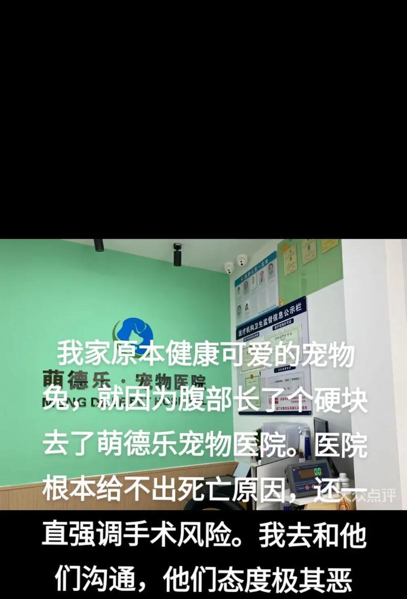 宠物托运后死亡怎么办小妙招？怎么避免悲剧发生？