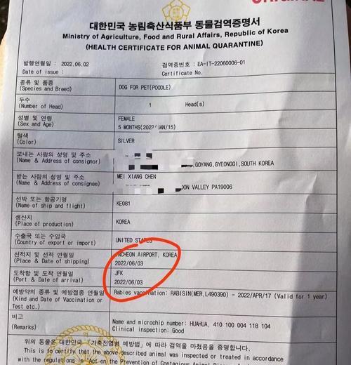 宠物托运后死亡怎么办小妙招？怎么避免悲剧发生？