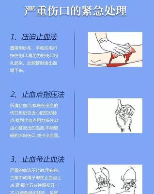 女生眼皮被吉娃娃咬伤？怎么进行急救处理？
