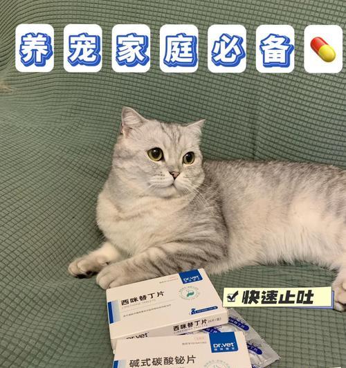 博美犬腹泻呕吐怎么办？