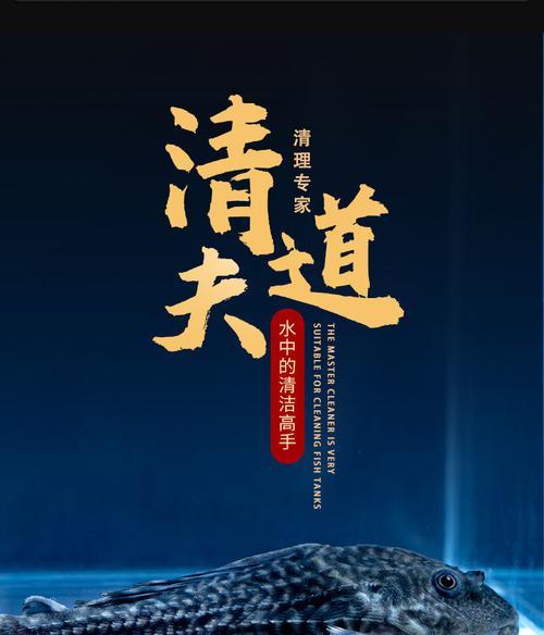 清道夫鱼死亡怎么办？如何进行清理和预防？