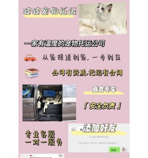 宠物托运后出现呕吐如何处理？预防和处理的方法有哪些？