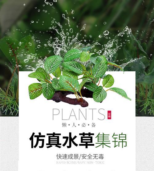 鱼缸沉木水变黄？哪种药物可以处理？