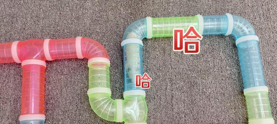 仓鼠脚卡在笼子里怎么办？如何安全解救？
