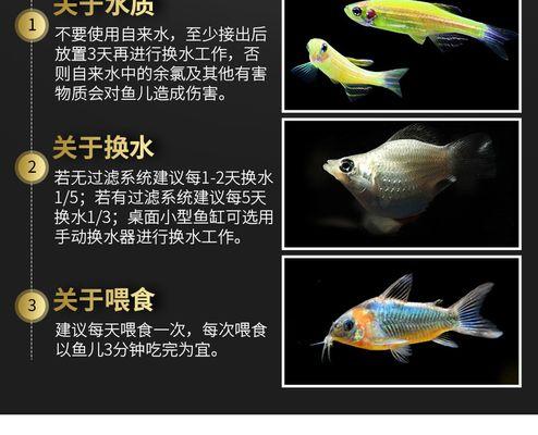 孔雀鱼缸中清道夫死亡原因是什么？应如何应对？