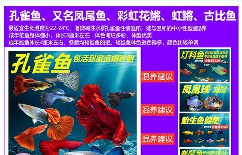 孔雀鱼缸中清道夫死亡原因是什么？应如何应对？