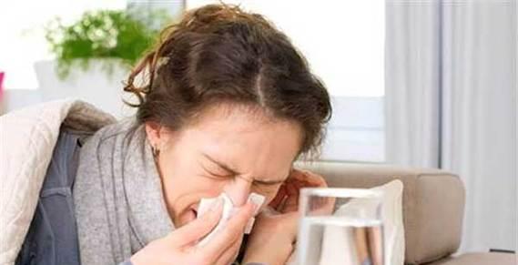 吉娃娃有痰怎么办？治疗效果最佳的药物是什么？
