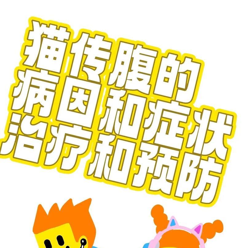 宠物托运后呕吐怎么办？如何缓解宠物不适？