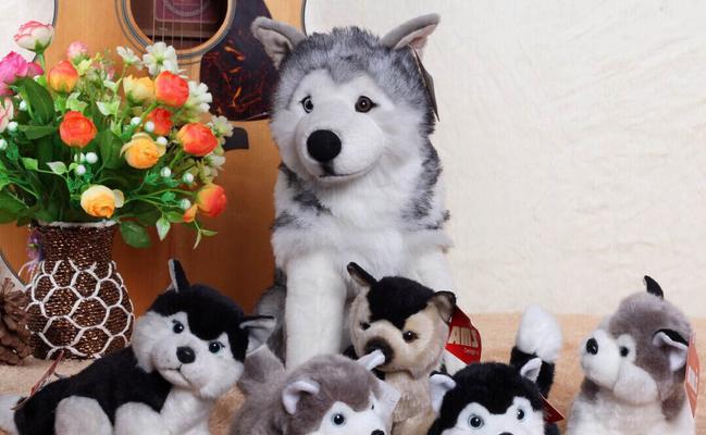 博美犬吐白沫且拉稀臭味重怎么办？如何处理？
