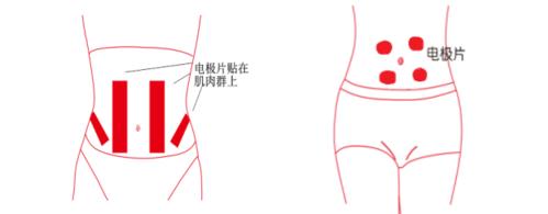 吉娃娃疝气怎么办？有效治疗方法有哪些？
