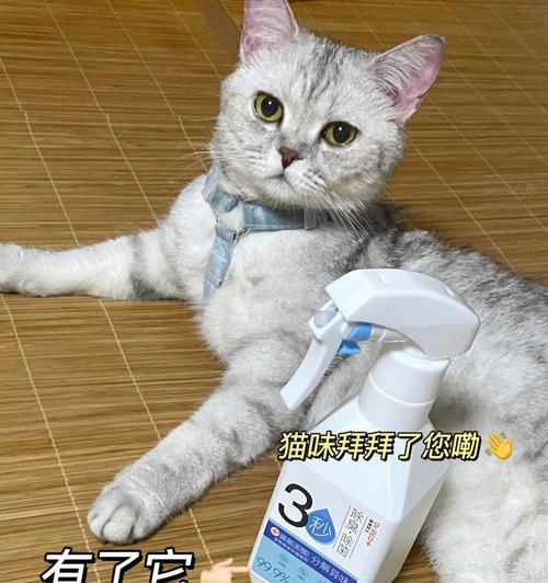 博美犬吐白沫且拉稀臭怎么办？应服用哪种药物？