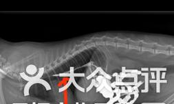 宠物猫误食异物如何紧急处理？误食针的处理措施是什么？